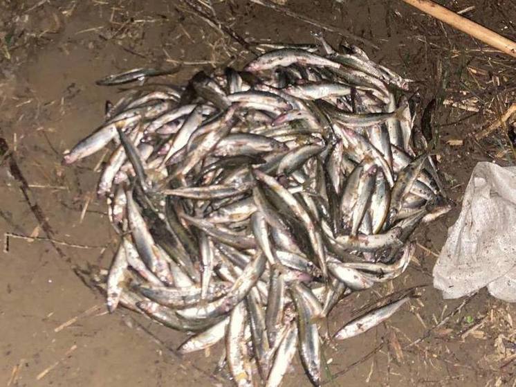 За незаконный вылов корюшки задержаны два сахалинских рыбака