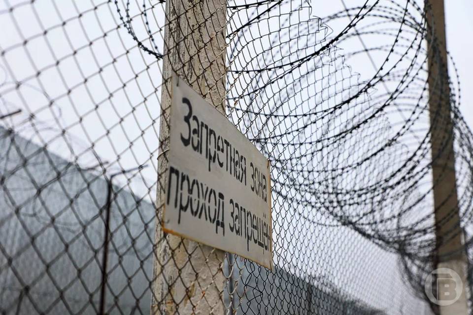 10 лет строгача грозит волгоградке за нападение на сожителя