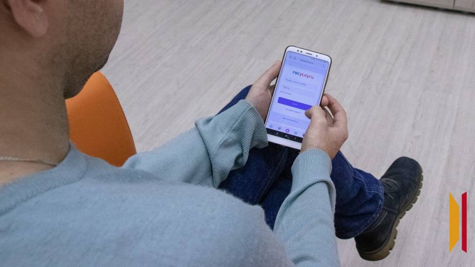 В Воронежской области продолжат цифровизацию госуслуг в 2026 году