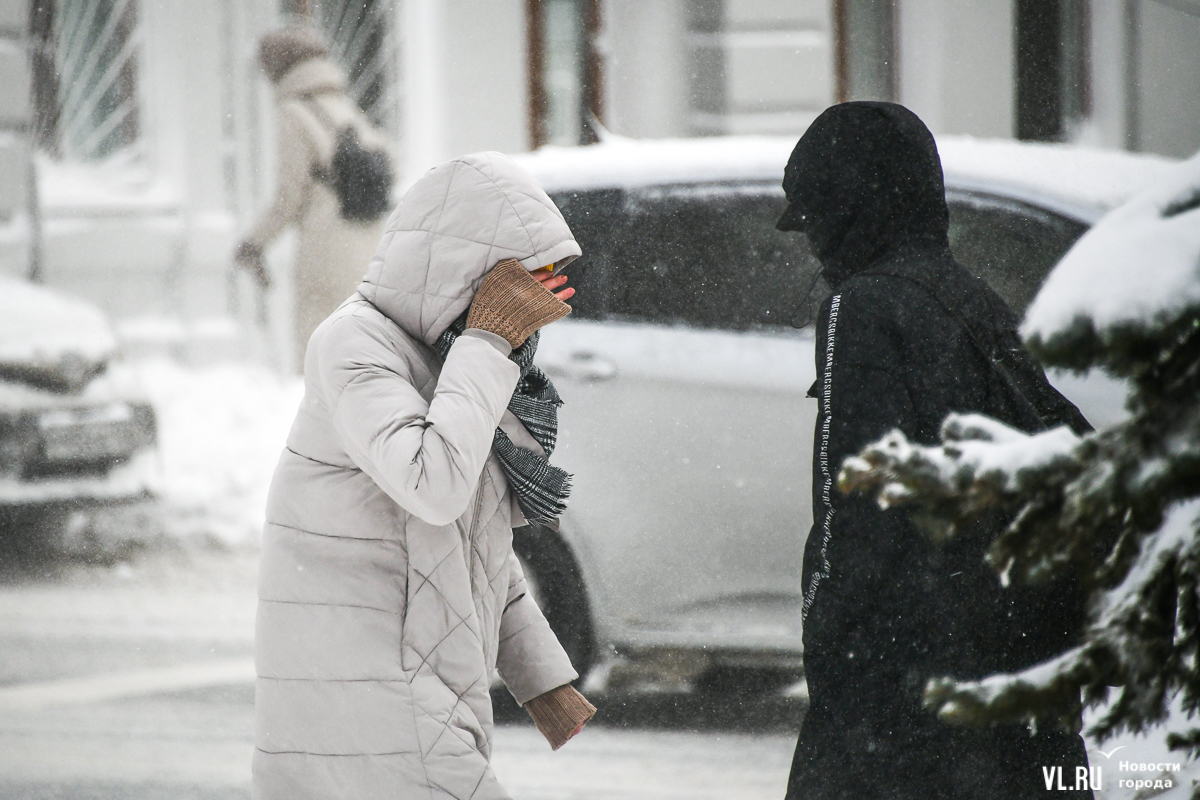 Дерево на ветру. Лопата для снега в машину. Под порывами. Очень сильный ветер. Ветка дерева.
