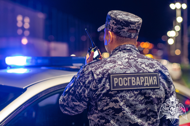 За новогодние праздники кубанские росгвардейцы пресекли более 250 правонарушений