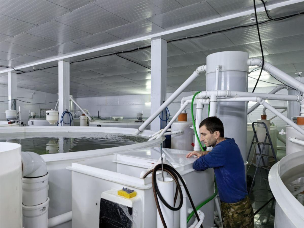 Царская рыба и королевские перспективы: ветераны СВО могут трудоустроиться на осетровую ферму