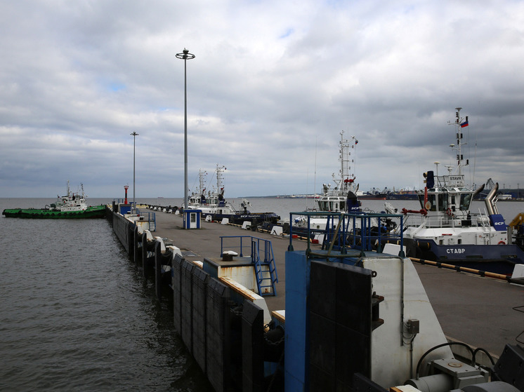 В 2022 году в торговом порту Калининграда грузооборот упал более чем на 90 процентов