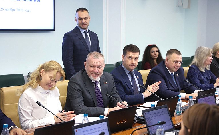 Заседание Комитета Совета Федерации по социальной политике