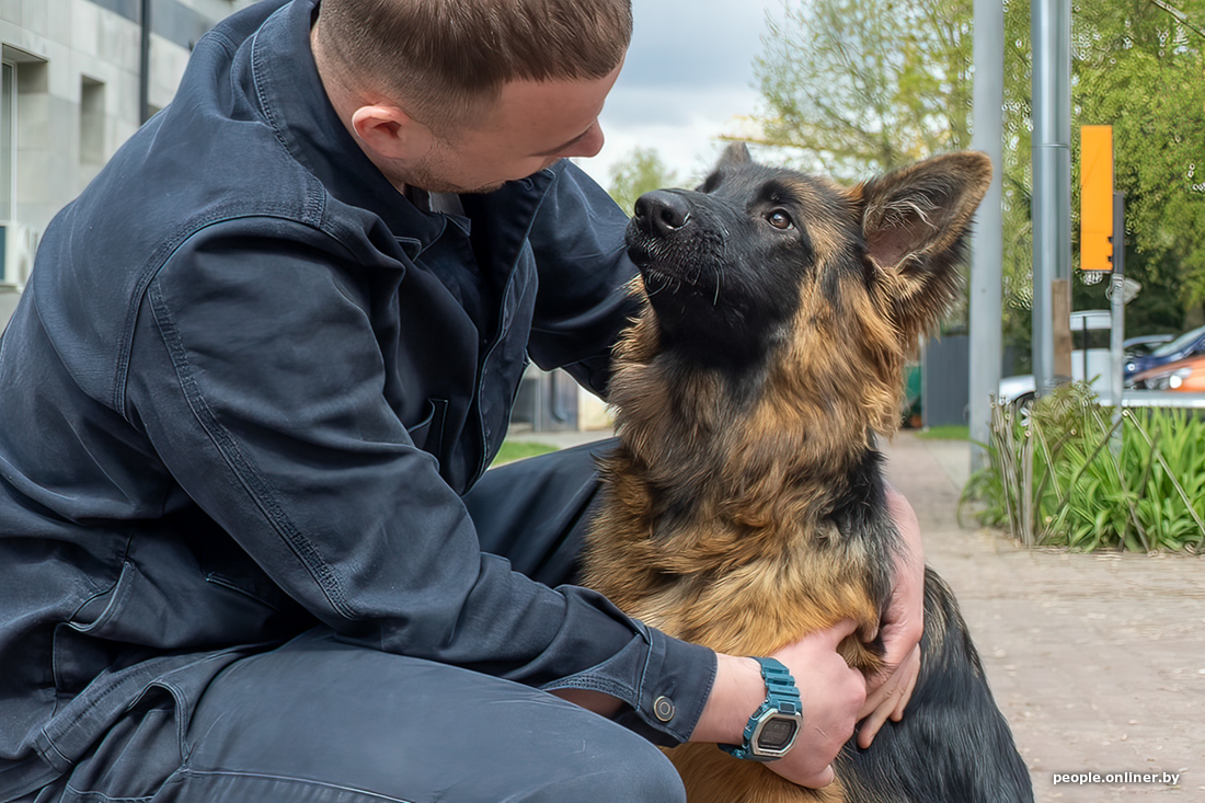 Собак интервью. Девушка бизнес с кошкой. Кошка деловая девушка. Интервью у собаки. Собака с микрофоном.