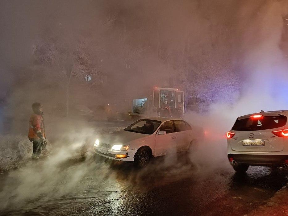 Фото Необычные Pr-ходы депутатов Новосибирска — кедры, редиска и даже коммунальные аварии 7