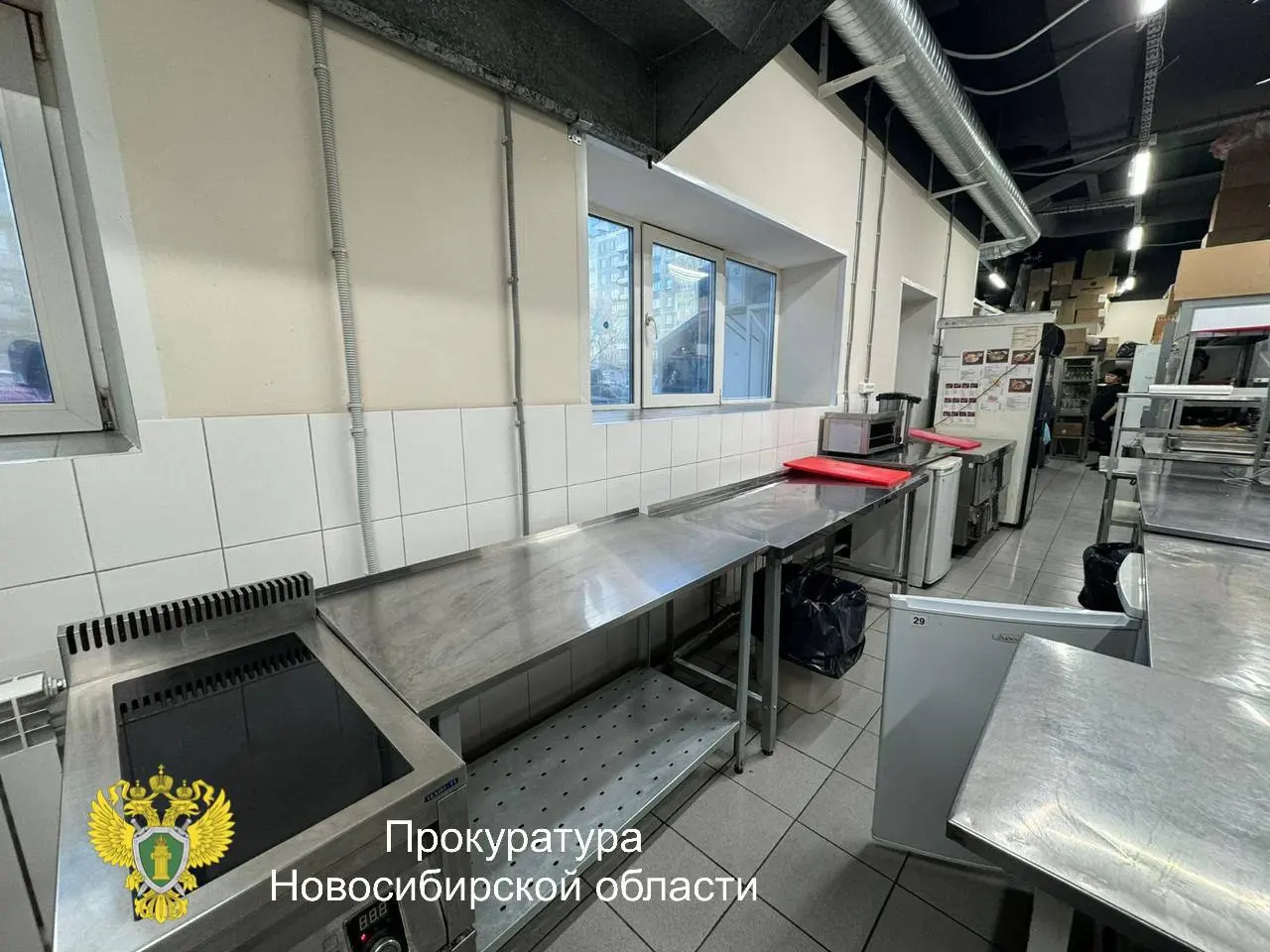 Советский районный суд Новосибирска во вторник, 18 ноября, вынес приговор по уголовному делу директора предприятия, обвиняемой в производстве и сбыте товара, не отвечающего требованиям безопасности.