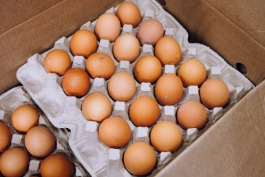 5239692.jpg?309aaf88ed3a1beb5df2310f3e4871d5