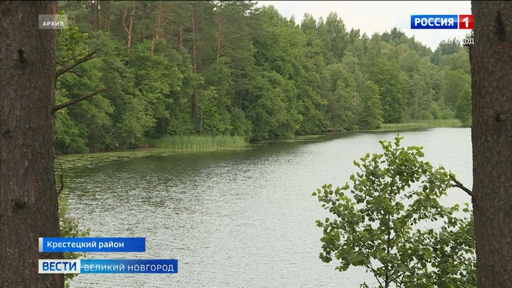 Новгородская прокуратура добилась освобождения береговой полосы озера Грабиловское