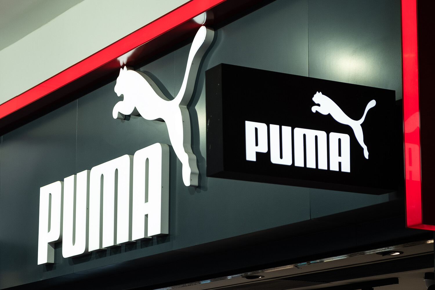 Амазинг пума. Puma новый бренд в России. Ами Пума бренд. Пума новое название в России. Red компания.