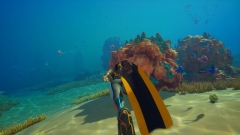 Разработчики Subnautica 2 опубликовали дорожную карту обновлений да конца 2026 года