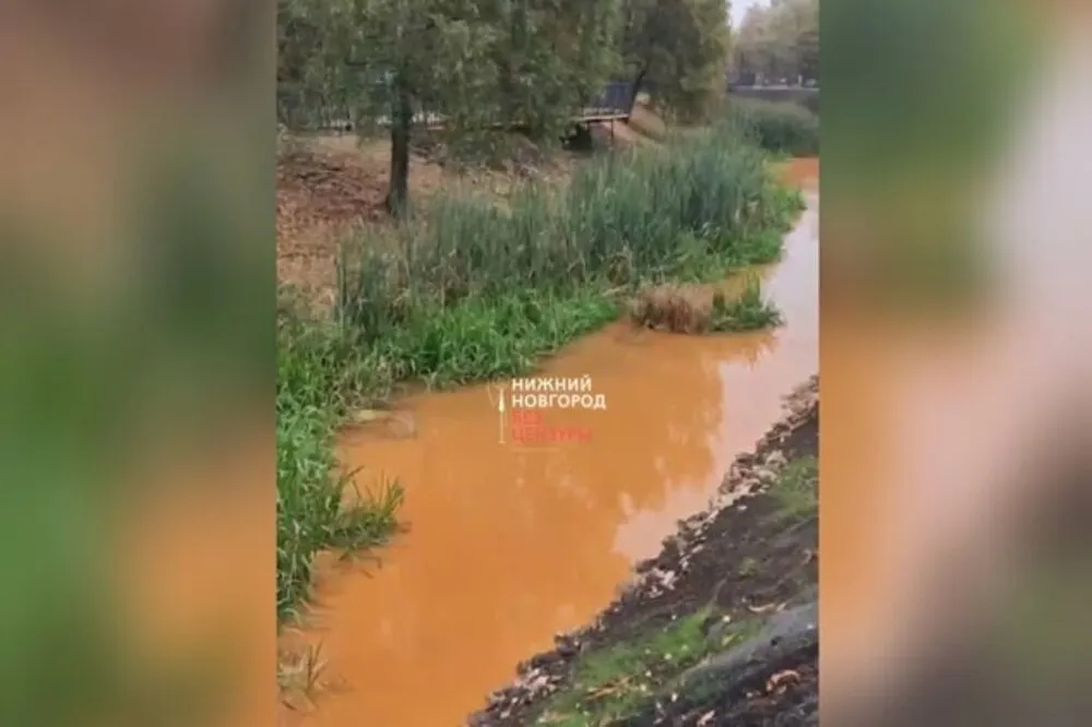 Фото Готовимся к Хэллоуину? Река Параша в Сормове «превратилась» в тыквенный суп - Новости Живем в Нижнем