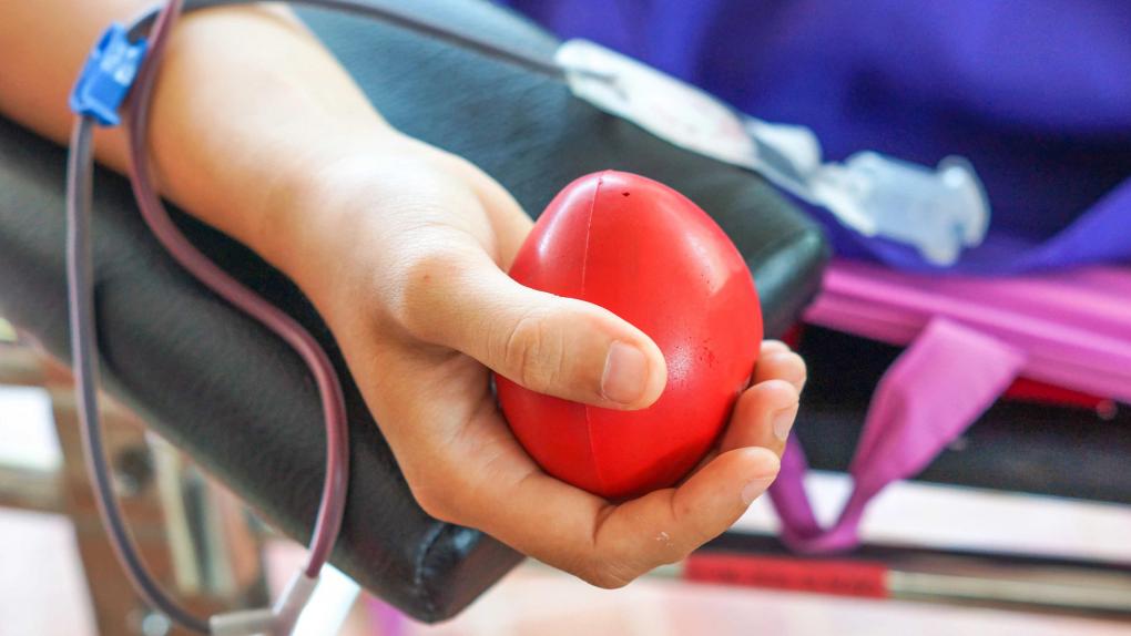 НОВИКОМ и ВРО СоюзМаш продвигают культуру донорства в Воронежской области