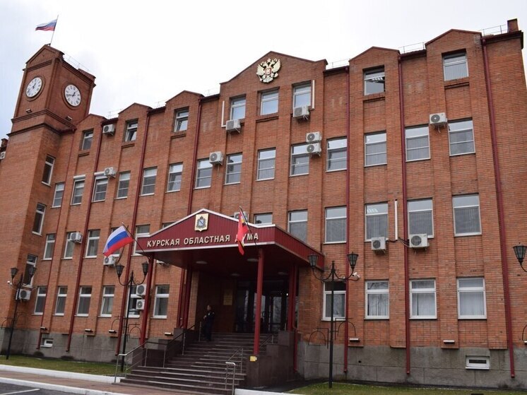 Курским депутатам рекомендовали прекратить зарубежные поездки
