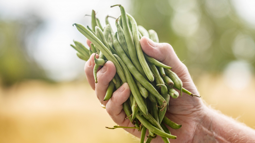 Какие продукты есть при гипертонии: какая диета при давлении