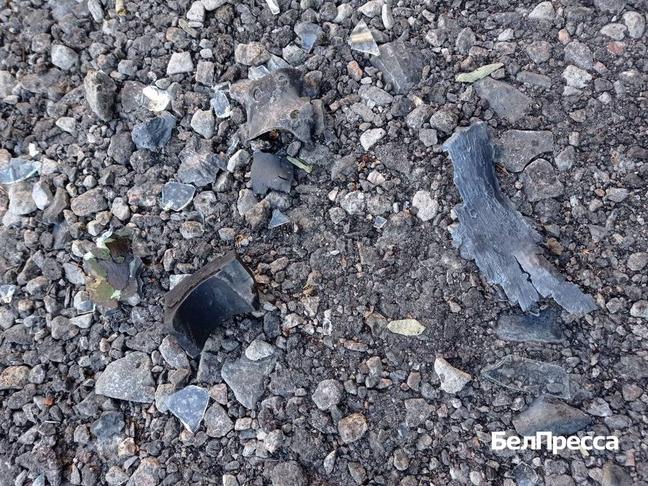 Невидимая угроза. В чём особенности отдыха на природе в зоне повышенного риска - Изображение 