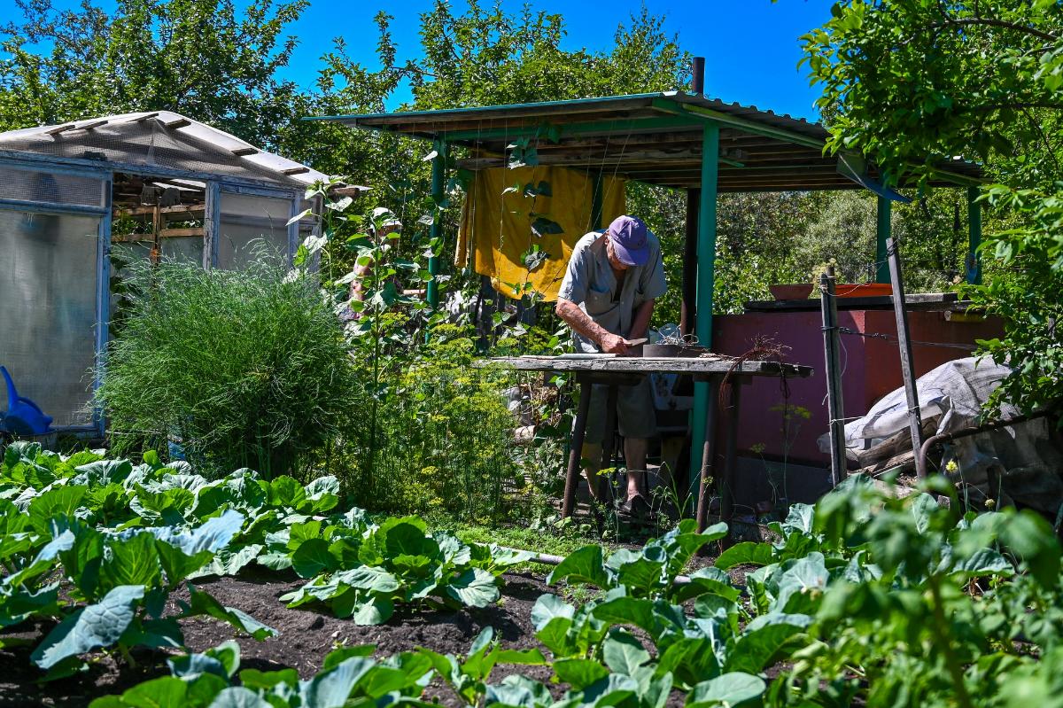 Мошенники рассылают челябинцам фейковые штрафы за нарушения на садовых участках