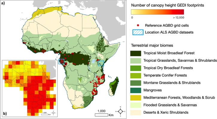Фото: Pedro Rodríguez-Veiga / Scientific Reports