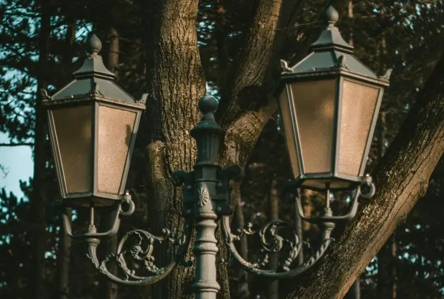 «Журавли» в городских дворах. В Кировском районе устанавливают новые опоры освещения | ФОТО Dana Ward on Unsplash