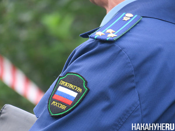 Фото: Накануне.RU