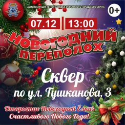 Актуализирован график открытия ёлок в Петропавловске-Камчатском 4