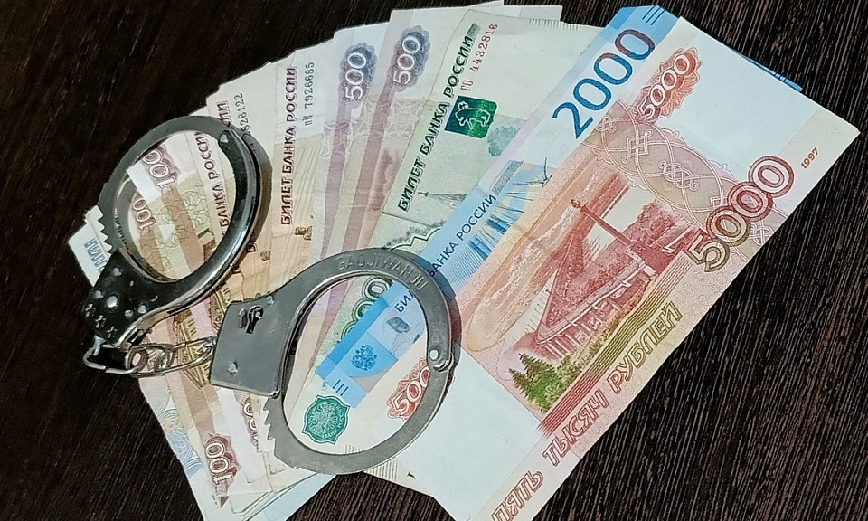 Новосибирские мошенники обманули женщин почти на 500 тысяч рублей