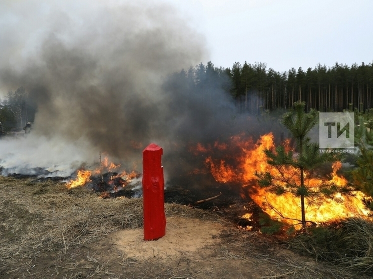 Жителей юго-востока Татарстана предупредили о высоком риске лесных пожаров