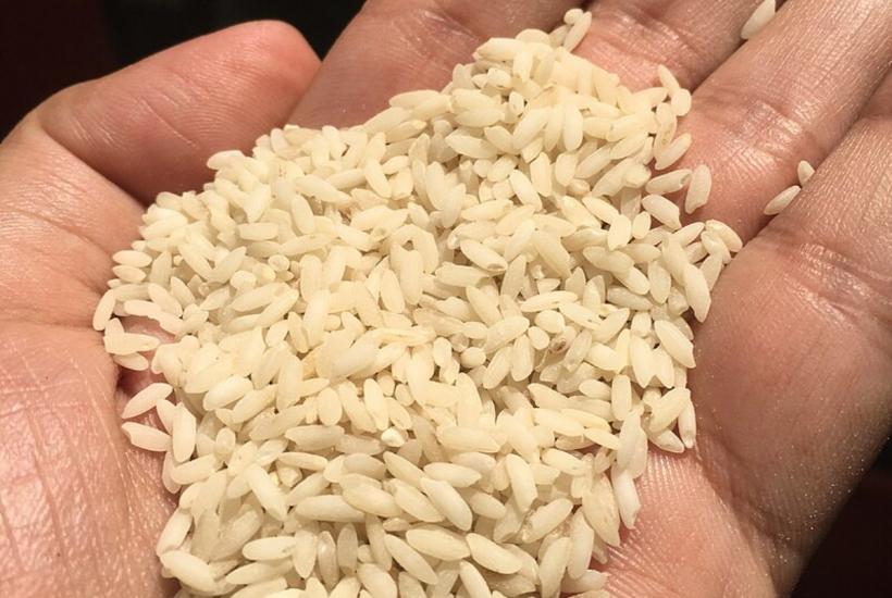 рис из Индии, сорт каланамак