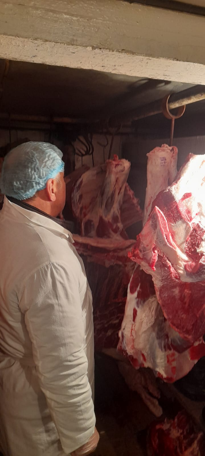 Ветеринарно-санитарная экспертиза мяса и мясных продуктов на рынке «Дубки» в Нальчике