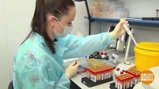 В Роспотребнадзоре предупредили об опасности нового штамма коронавируса «Пирола»