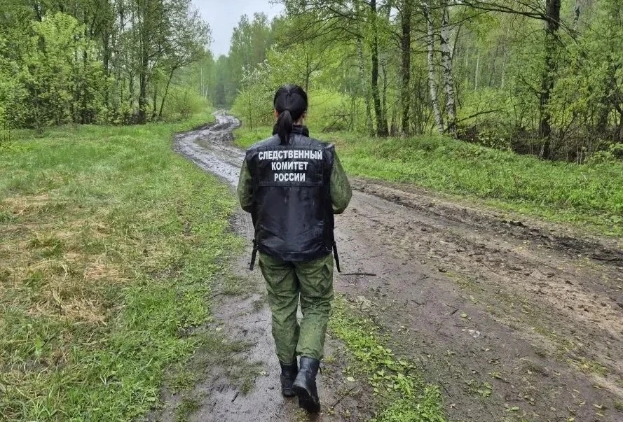 СК проводит проверку по факту смерти жителя Гусь-Хрустального округа в лесу