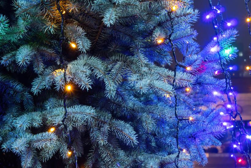 Новогодняя ёлка