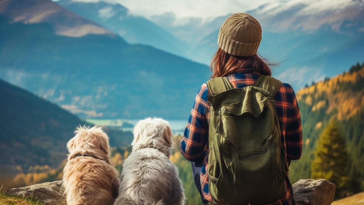 Девушка сидит в горах с двумя собаками