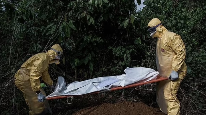 В США от вируса, вызывающего кровотечение из глаз, умер турист, побывавший в Африке