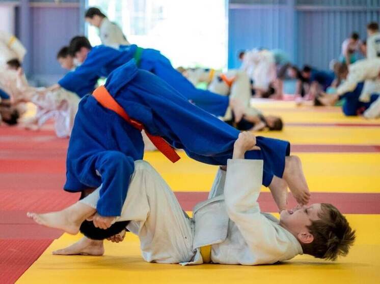 В Челябинской области дзюдо профессионально занимаются более 15 тысяч человек