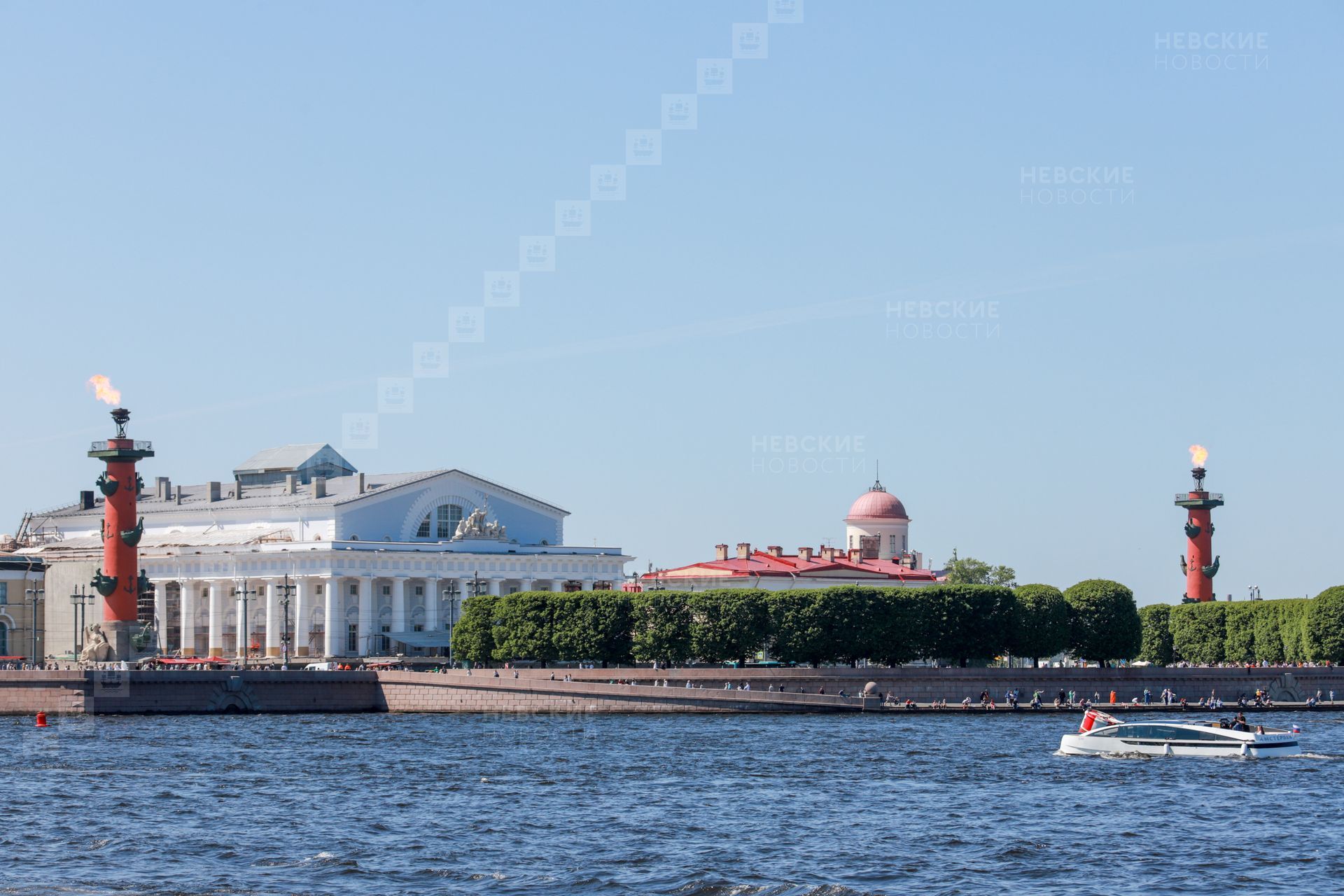 Когда зажигают ростральные колонны в санкт петербурге. Санкт Петербург 12 июня Ростральные колонны. Ростральные колонны Васильевский остров. Ростральные колонны Москва набережная. Чесменская (Ростральная) колонна..