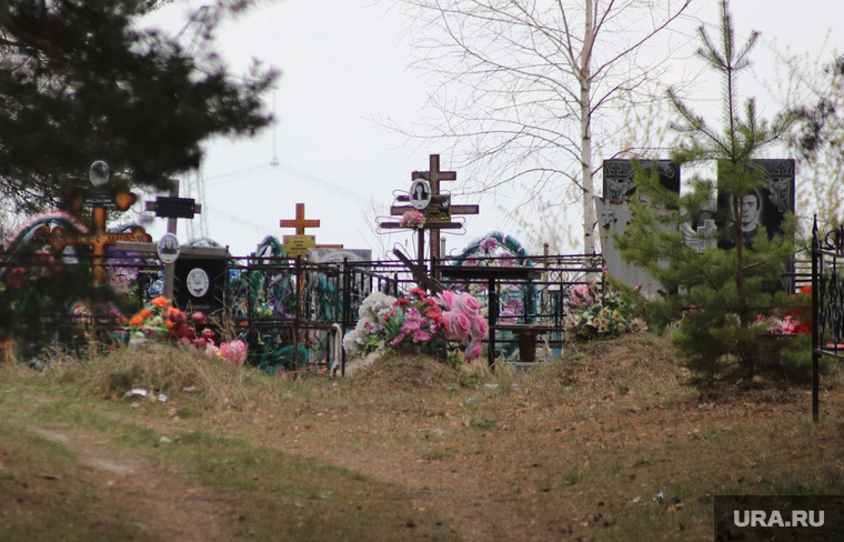 Кладбище Рябково. Курган, могилы, кладбище