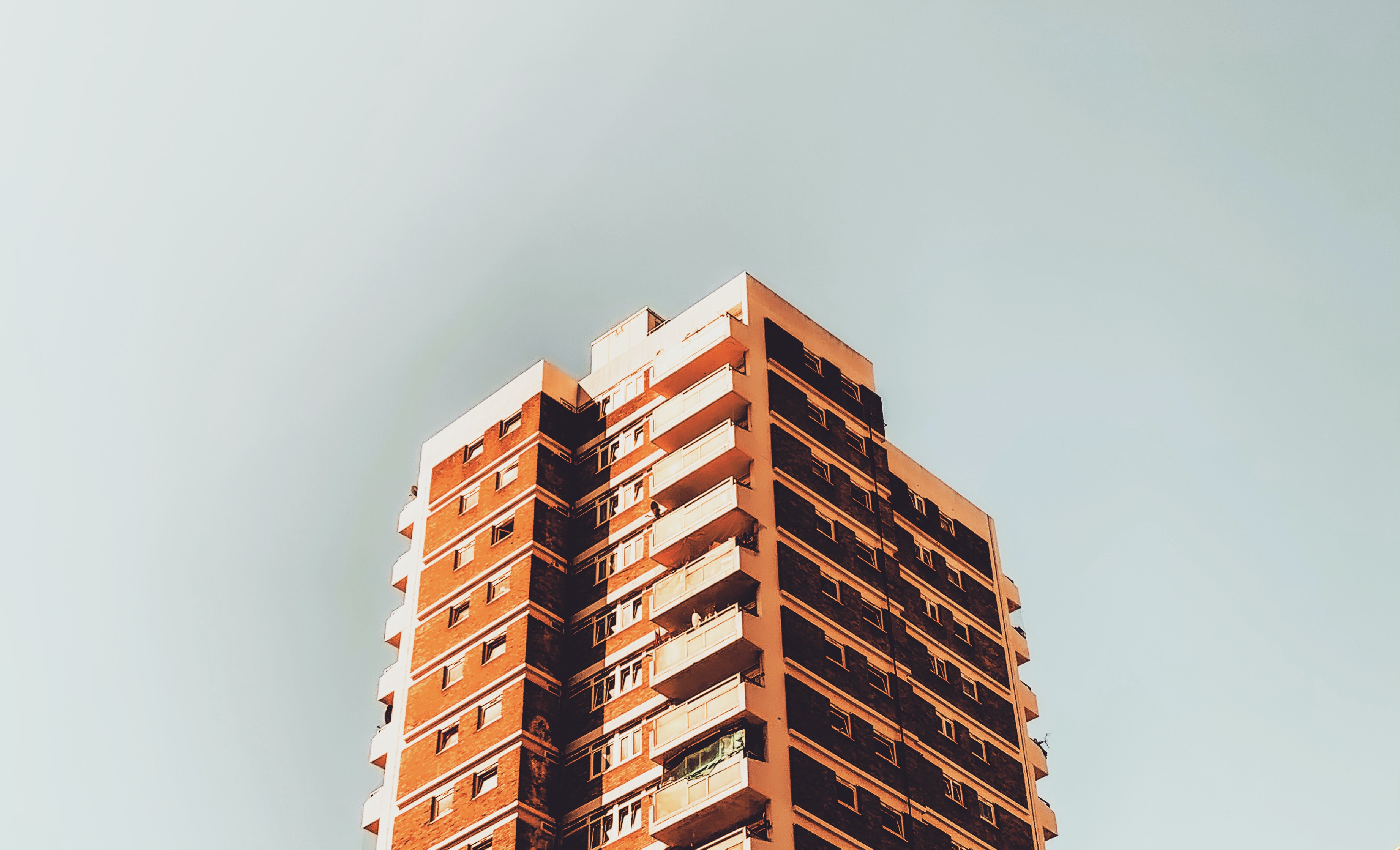 Фото: unsplash.com