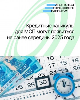 Кредитные каникулы для МСП могут появиться не ранее середины 2025 года