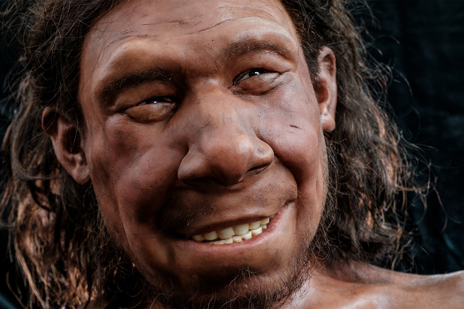 Древнейшие люди америки. Неандерталец и современный человек. Мультик про неандертальцев.