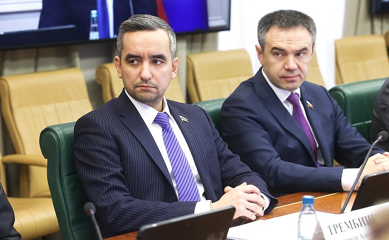 Заседание Комитета Совета Федерации по экономической политике