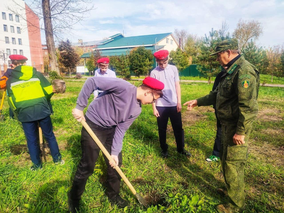 Фото: Комитет лесного хозяйства Московской области