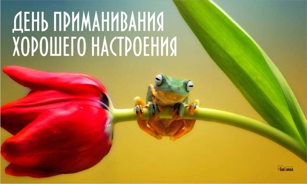 Высказывания про настроение