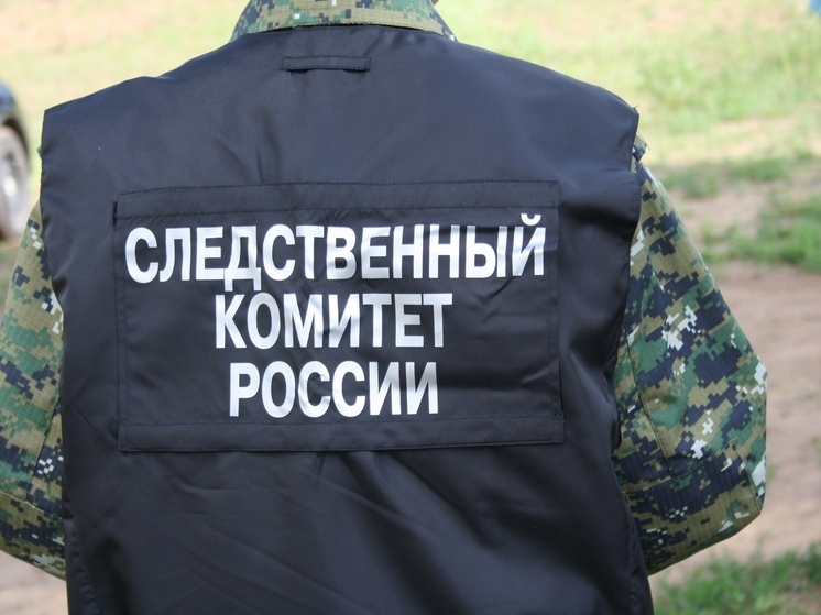 В Шуе подростки сняли на видео избиение девочки