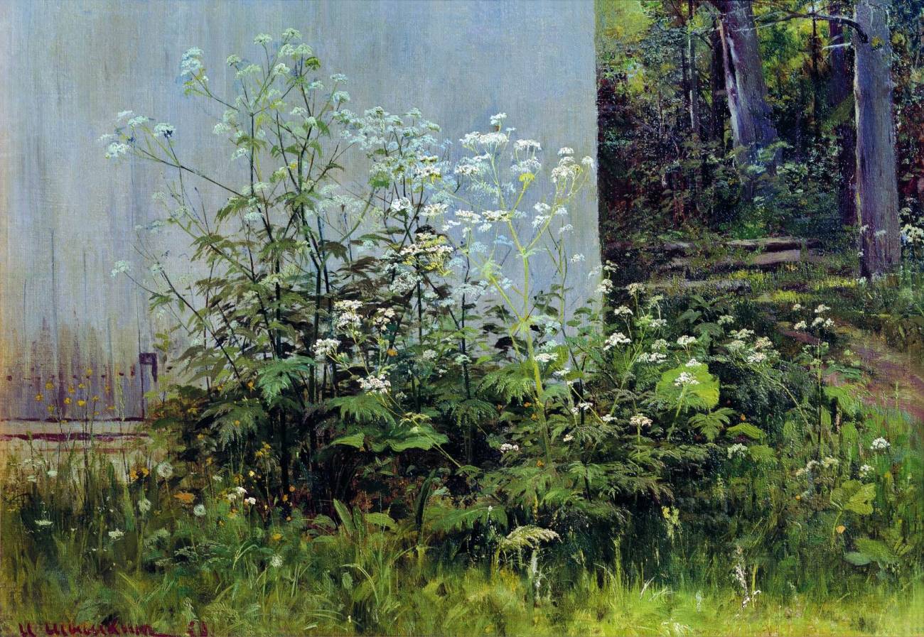 Иван Шишкин. Цветы у забора. 1880-е