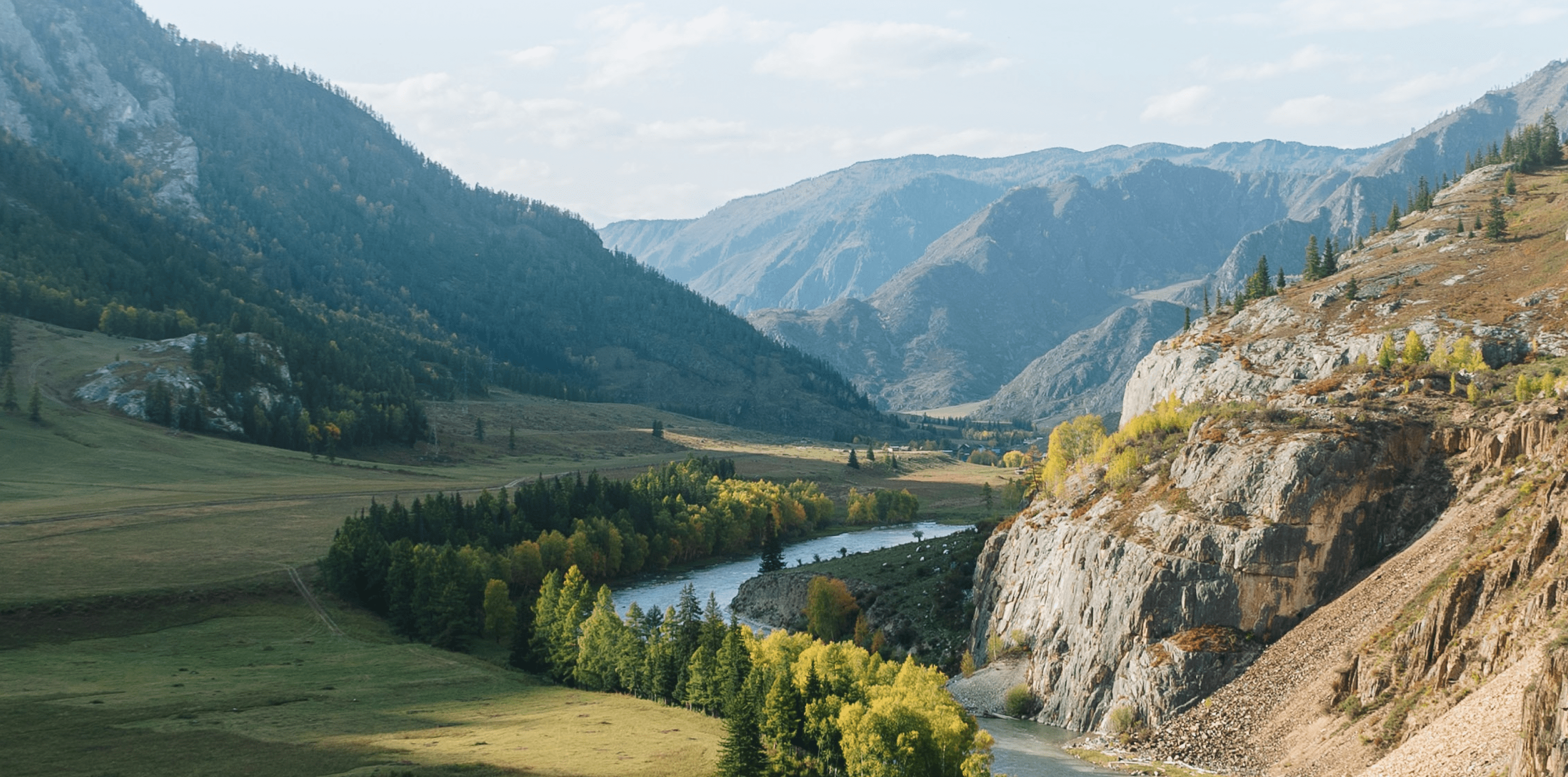 Экодиктант