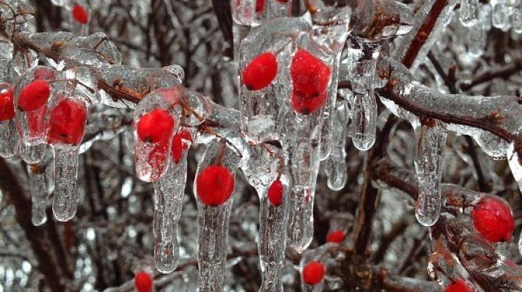 Снег возвращается на Кубань: погода ухудшится в ближайшие дни 