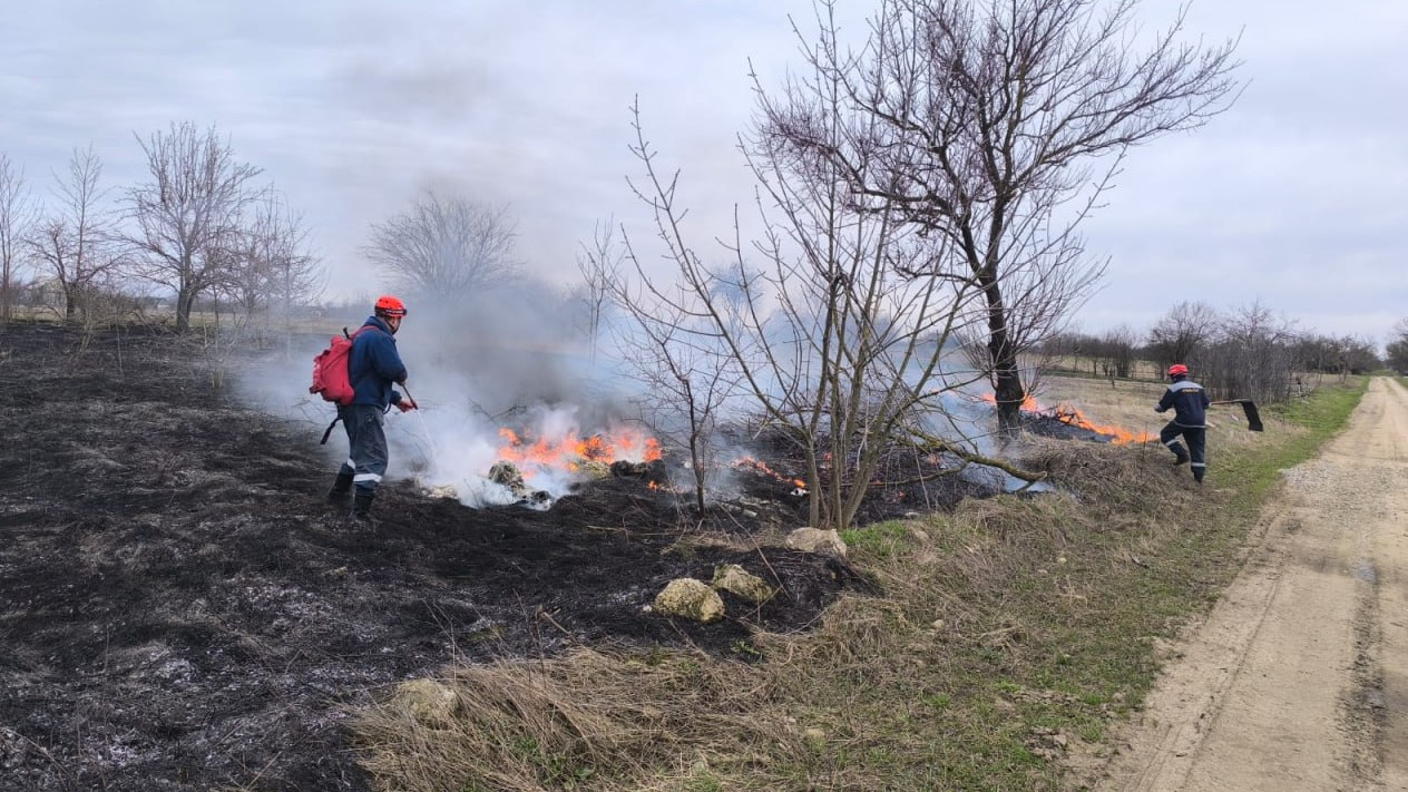 Пожароопасный сезон действует в лесах Кубани