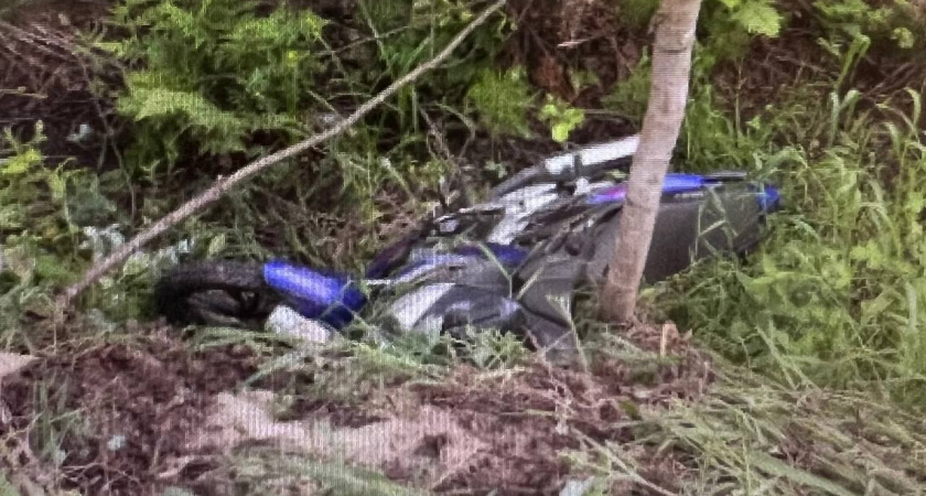Пьяный мотоциклист вылетел в кювет и врезался в дерево в Алатырском районе