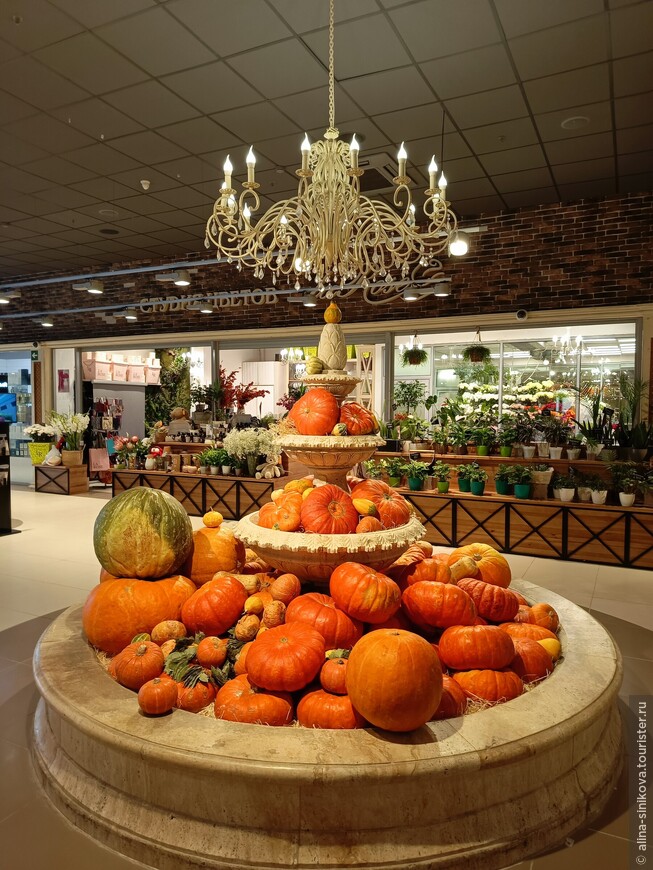 Двенадцать небанальных мест в Новосибирске